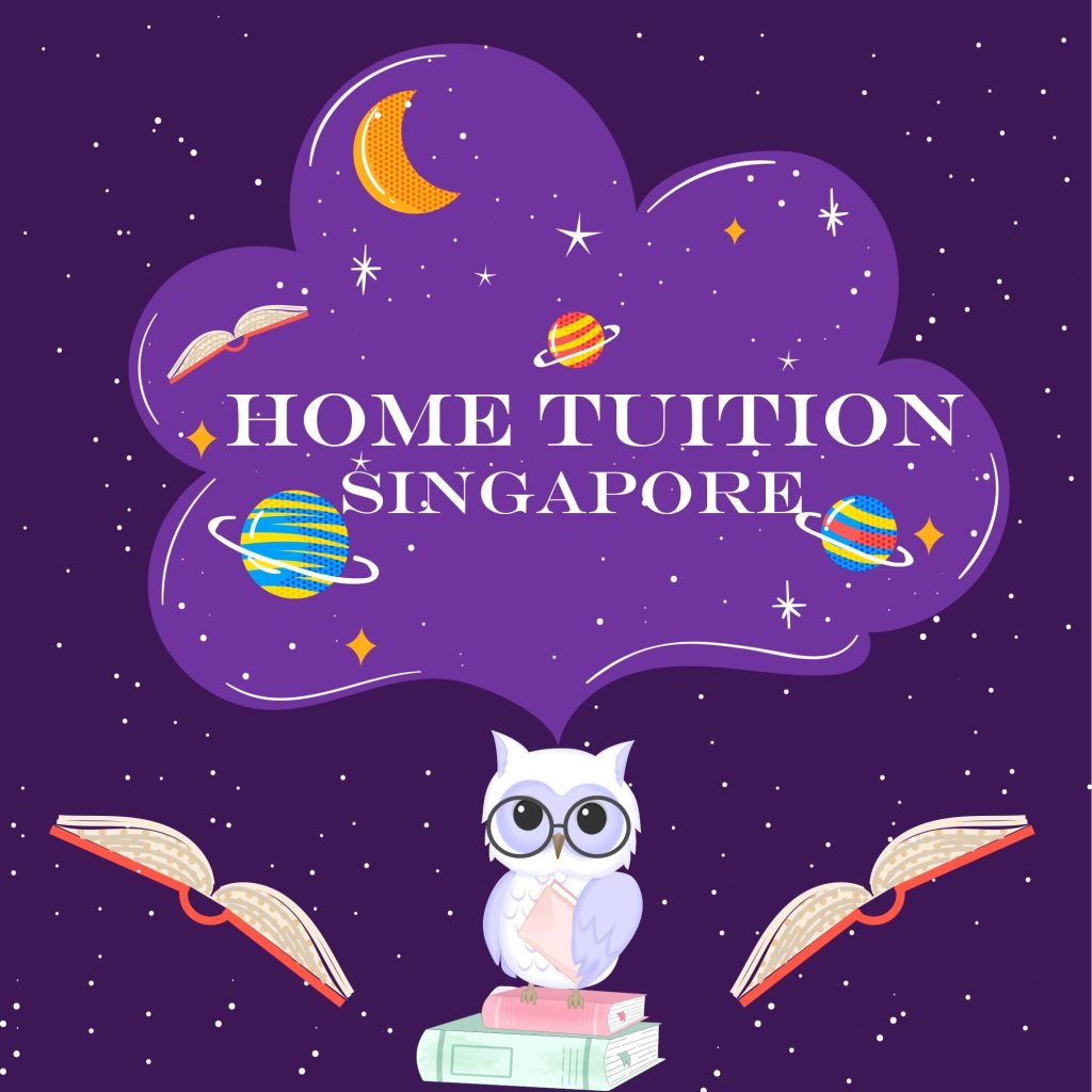 social studies tuition Tuition Assignments Singapore